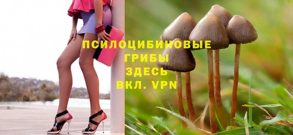 герыч Бронницы