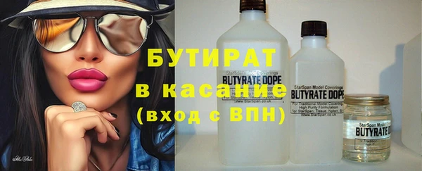 индика Бородино