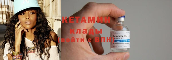 индика Бородино