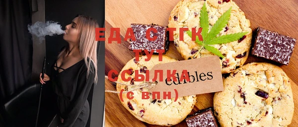 индика Бородино