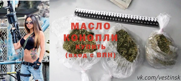 индика Бородино