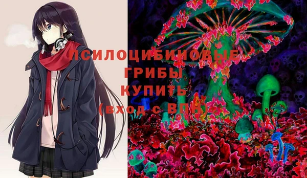 соль ск Верея