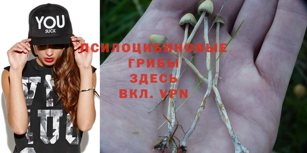 соль ск Верея
