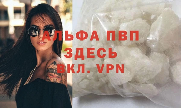 индика Бородино