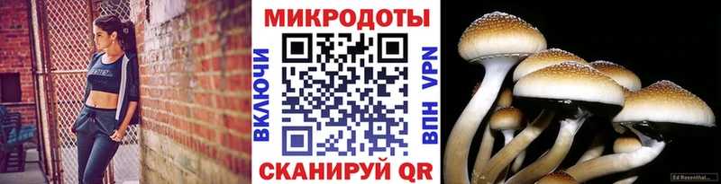 Псилоцибиновые грибы MAGIC MUSHROOMS Чудово